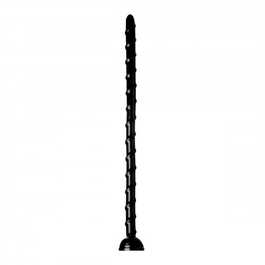 Hosed 18 Inch Swirl Thin Anal Snake