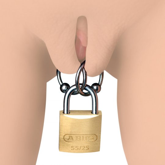 ABUS Lock - Image 2